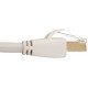 Amazon Basics HL-007289 RJ45 Cat7 Network Ethernet Patch/LAN Cable for Security Camera - 15 Feet (White)