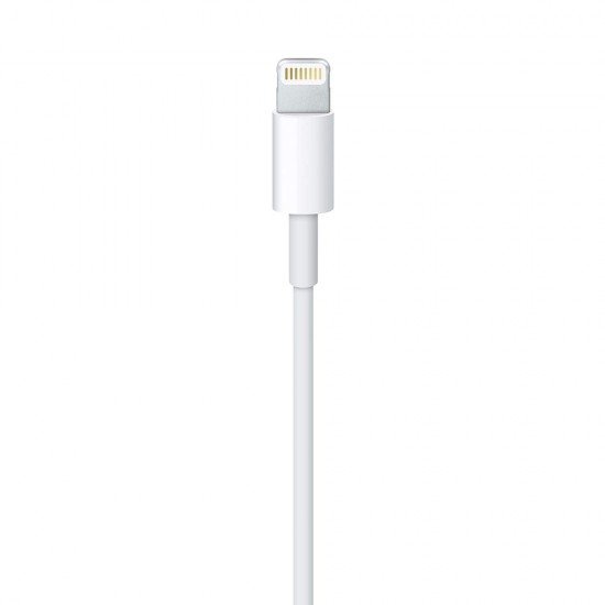 Apple Lightning to USB Cable (1m)