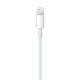 Apple Lightning to USB Cable (1m)