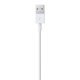 Apple Lightning to USB Cable (1m)