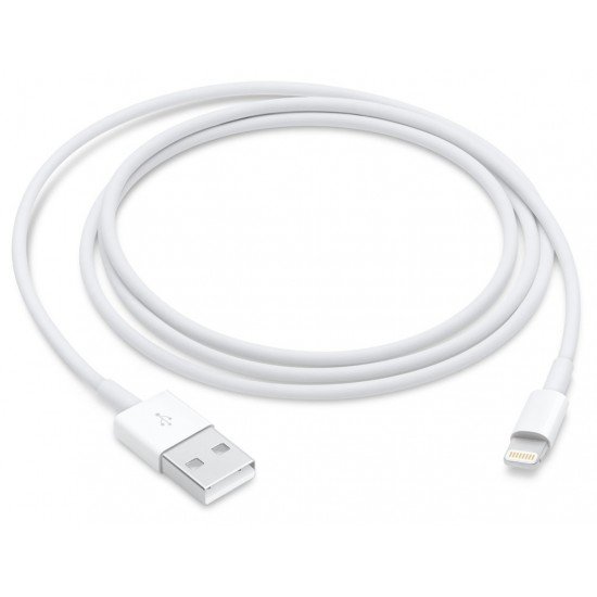 Apple Lightning to USB Cable (1m)